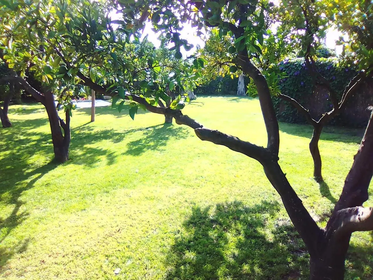 Villa Capricho Melegis Espanha