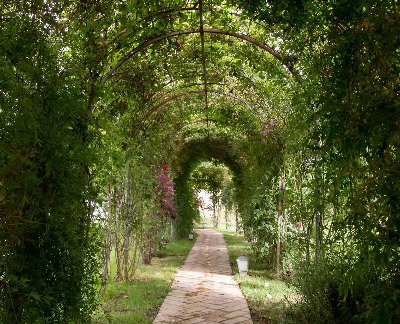 Villa Capricho Melegis